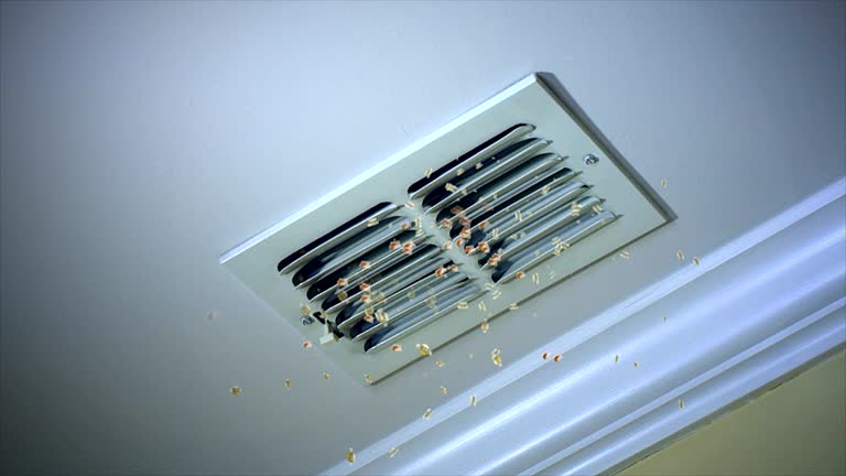 Best Affordable Duct Cleaning Services  in North Wantagh, NY