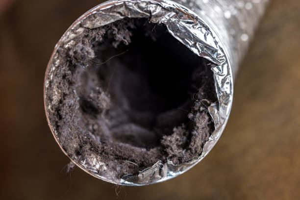 Best Dryer Vent Cleaning Services  in North Wantagh, NY