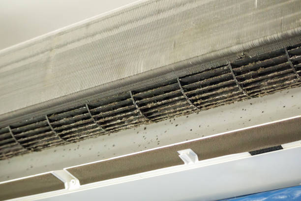 Best Local Air Duct Cleaning Services  in North Wantagh, NY